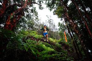 BIB: 
                            <button type="button" onclick="openModal(26205069)" class="btn btn-primary btn-sm float-right btn-popup" data-toggle="modal" data-target=".modal-high-quality">
                        <i class="fas fa-shopping-cart"></i> Add to Cart
                    </button>
                                            <button type="button" onclick="isThisMe(26205069, true)" class="btn btn-success btn-sm float-right btn-popup btn-isme hidden" data-toggle="tooltip" data-placement="bottom" title="นี่คือรูปของคุณใช่ไหม คลิกที่นี่เพื่อเอาเข้าอัลบั้ม">
                        <i class="fas fa-plus"></i> Add to album
                    </button>
                    <button type="button" onclick="isThisMe(26205069, false)" class="btn btn-warning btn-sm float-right btn-popup btn-isnotme hidden">
                        <i class="fas fa-ban"></i> Remove from album
                    </button>